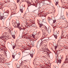 Fototapete Flamingomuster Rosa Flamingos Vogelmuster Vektorgrafik  © Maria