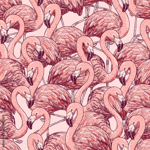 Pink flamingo seamless pattern. Beautiful bird bacground. Vector illustration