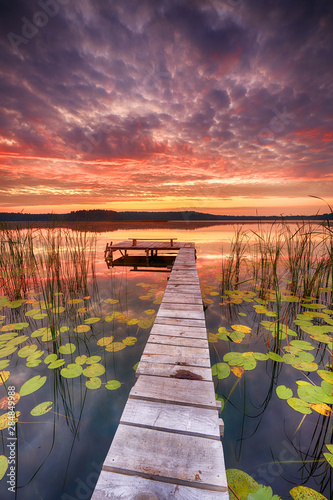 Fototapeta Naklejka Na Ścianę i Meble -  Beautiful summer sunrise over lake