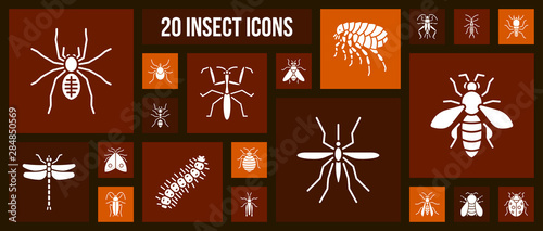 Danger Insect white silhouette icons vector set