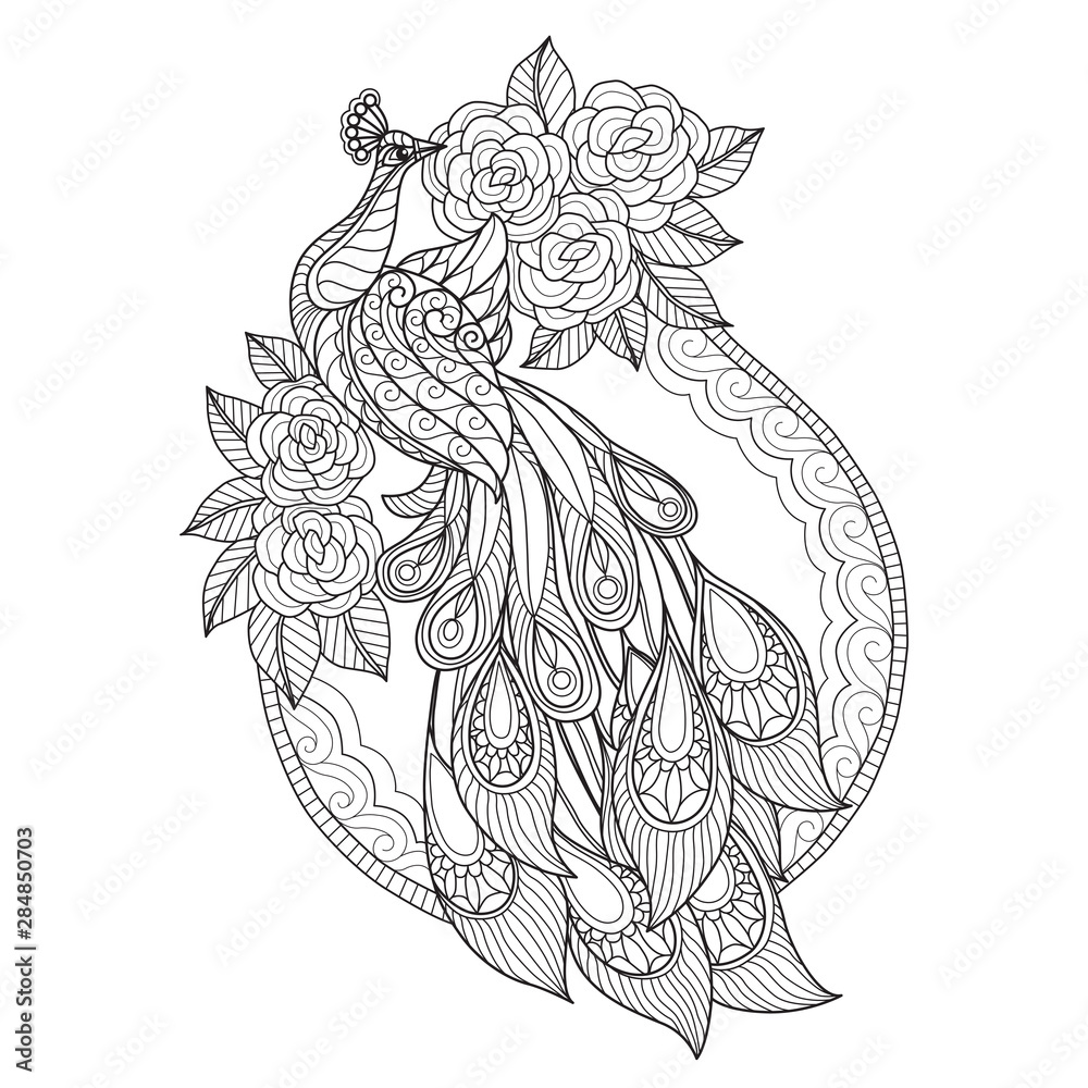 Fototapeta premium Hand drawn sketch illustration of peacock and roses for adult coloring book.