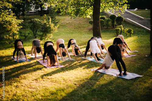 Group of young women are stretching in Downward Facing Dog exercise, adho mukha svanasana pose. Group of people are practicing yoga lesson in city park at sunny dawn under guidance of instructor. photo
