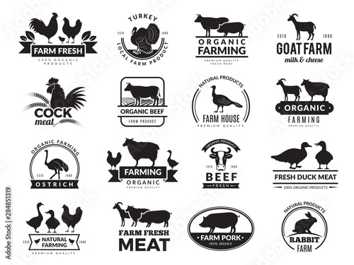 Farm animals. Business logo with domestic animals cow chicken goat healthy food symbols vector farm collection. Cow silhouette, chicken and sheep meat illustration