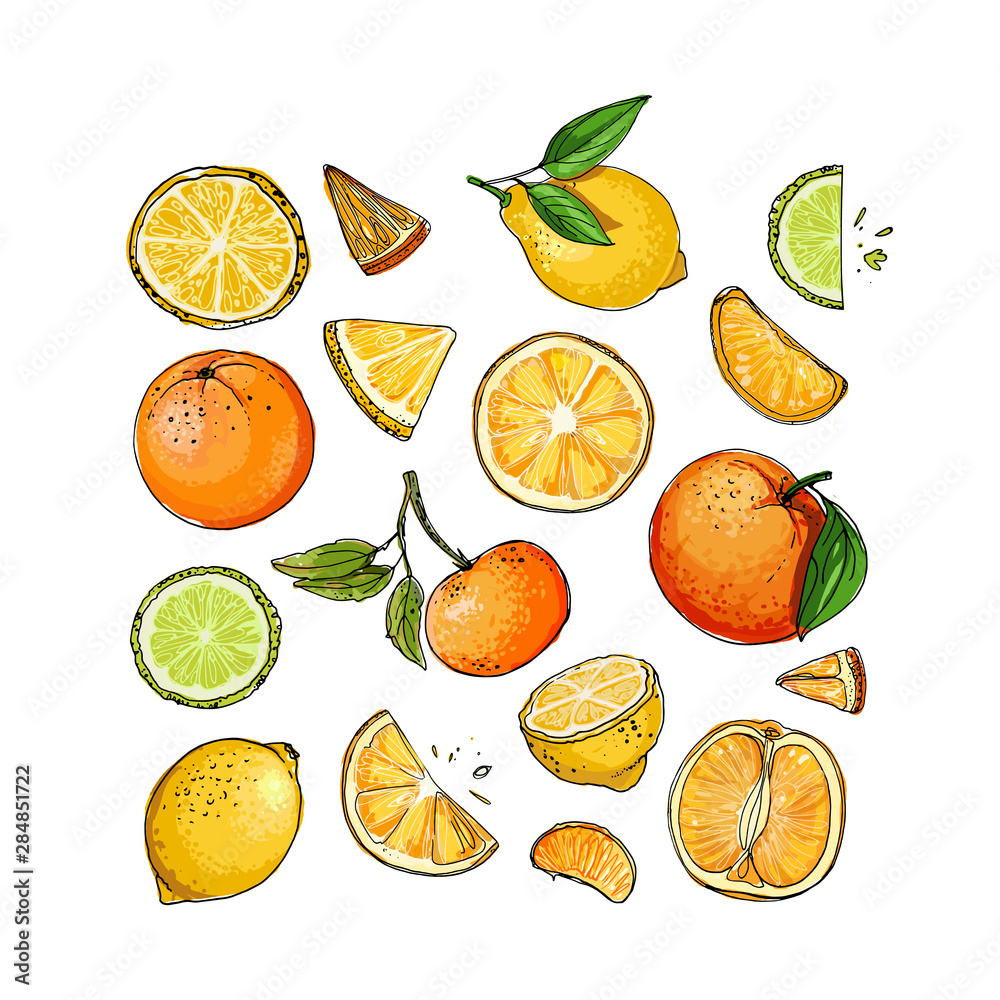 Citrus. Set of fruit. Fresh food. Lemons, oranges, mandarin, pomelo, lime. Vector illustration. Citrus. Set of fruit. Fresh food. Lemons, oranges, mandarin, pomelo, lime. Vector illustration.
