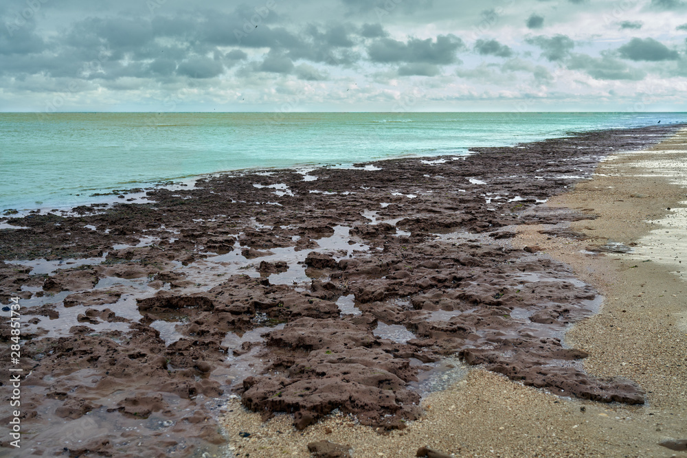 low tide at sea, the shore of the Sea of Azov low tide at sea, the shore of the Sea of Azov