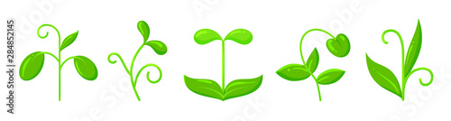 sprout plant green grass simple flat vector icon