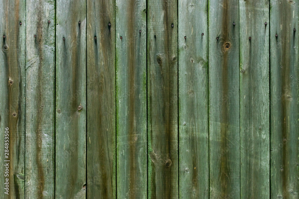 Fototapeta premium Wood background. Old gray wooden fence with green moss and nails. Vintage style.