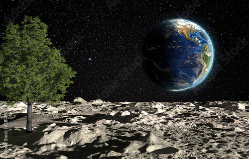 Fototapeta Naklejka Na Ścianę i Meble -  The surface of the moon with a green tree and the planet Earth on a background of the starry sky. Creative conceptual 3D rendering illustration. Fantasy about the colonization and gardening of planets
