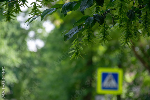 Road sign on city background