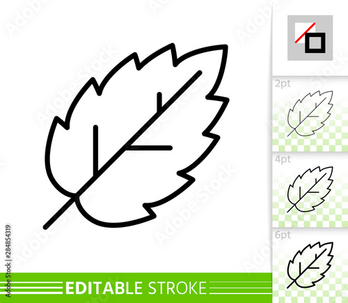 Leaf elm birch simple black thin line vector icon