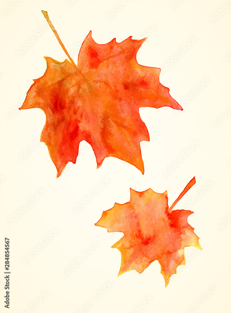 Fototapeta premium Watercolor maple leaves