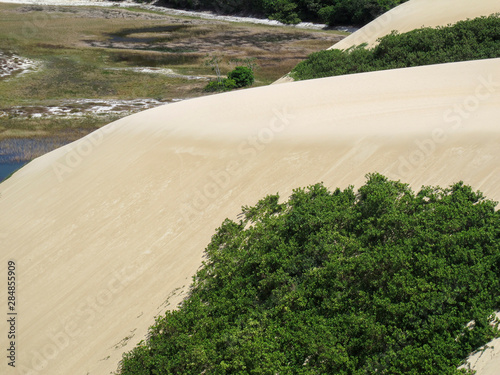 Genipabu lagoon landscape - Natal northeast of Brazil photo