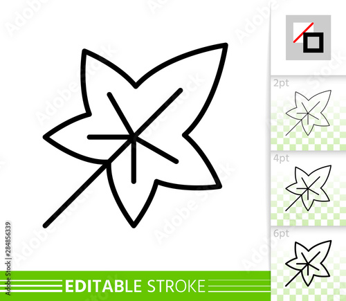 Leav ivy foliage simple thin line vector icon