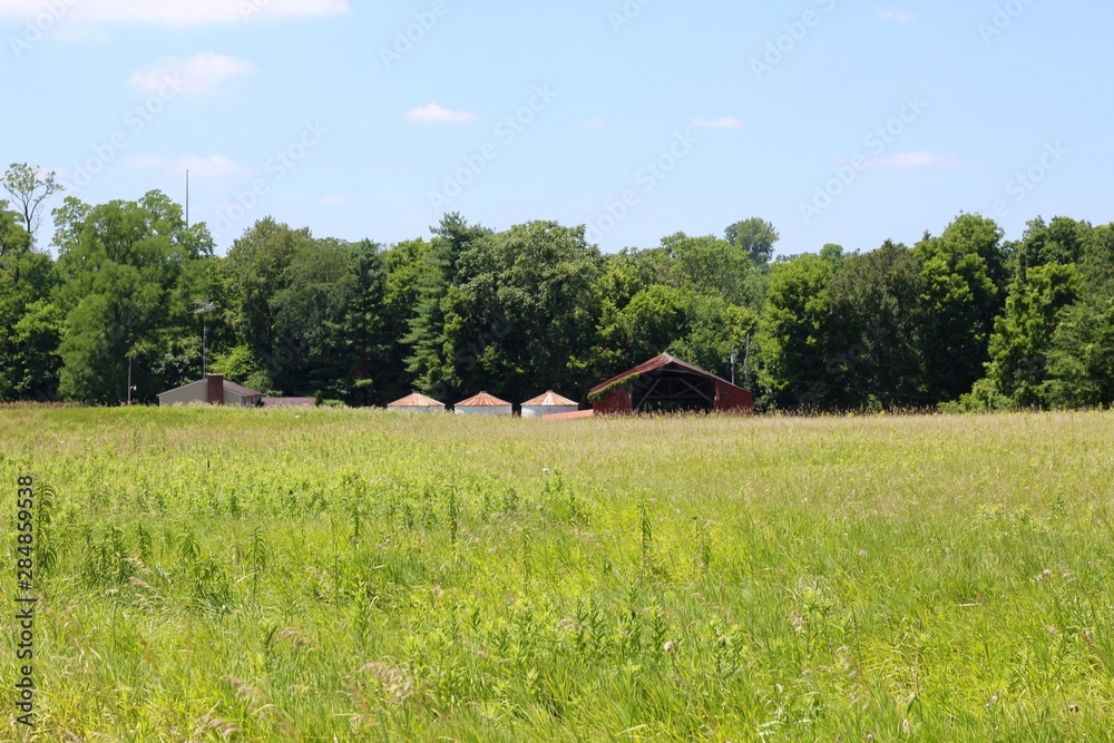 The tops of the farm buildings from the green grass field.