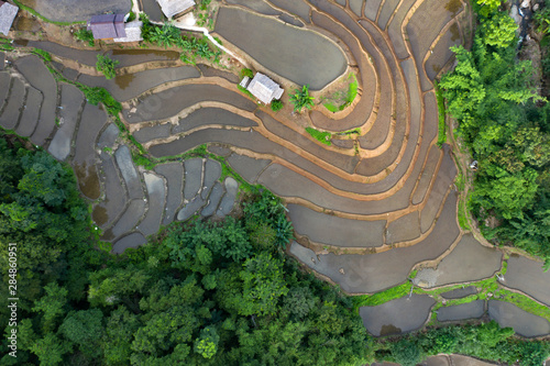 Terraced rice paddy field in Chiang Mai, Thailand.