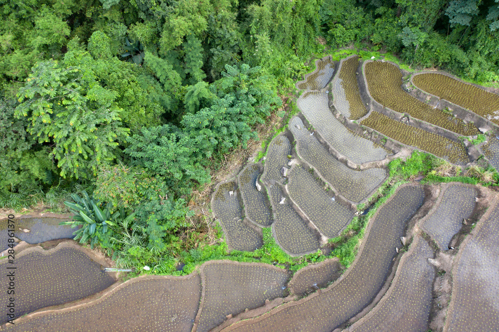 Terraced rice paddy field in Chiang Mai, Thailand. Terraced rice paddy field in Chiang Mai, Thailand.