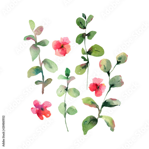 Vintage watercolor green leaves and red flowers  natural isolated illustration