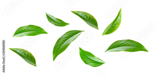 Fotobehang Green tea leaf collection isolated on white background