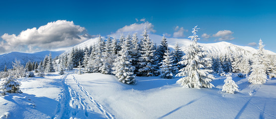 Morning winter mountain landscape, Carpathian, Ukraine