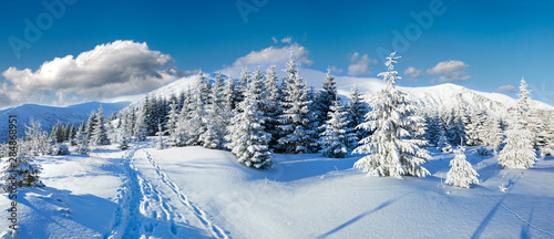Fototapeta Naklejka Na Ścianę i Meble -  Morning winter mountain landscape, Carpathian, Ukraine