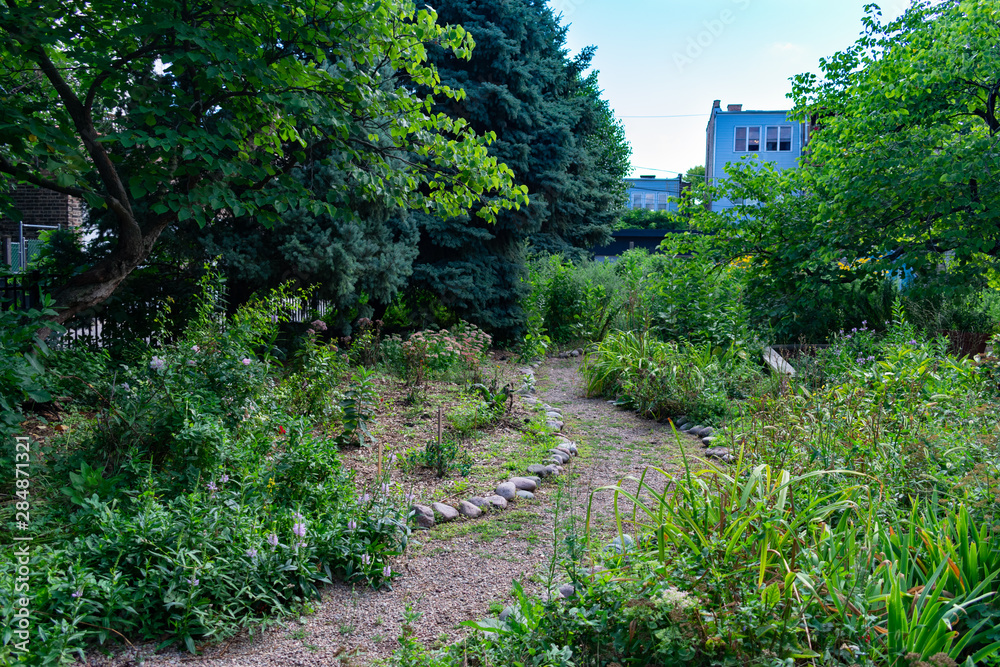 Path at a Community Garden in Logan Square Chicago with Plants and Trees Path at a Community Garden in Logan Square Chicago with Plants and Trees
