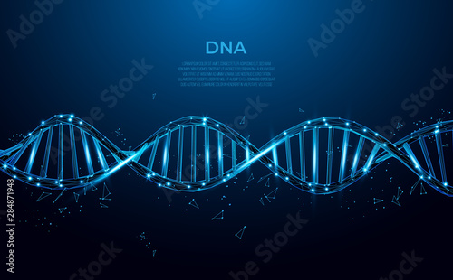 DNA. Abstract 3d polygonal wireframe DNA molecule. Medical science, genetic biotechnology, chemistry biology, gene cell concept vector illustration or background. 