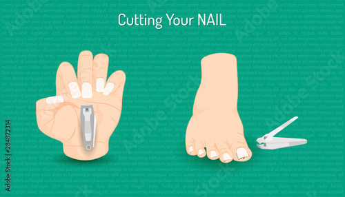 cutting hand and foot nail. body part beautiful color. vector illustration eps10