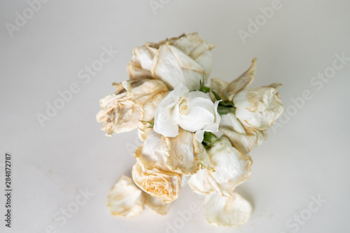 Flowers of white roses  in a cup on a white background dried flowers  dried happy