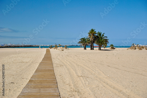 Beach in Andalusia with palm trees on the ocean © raffaellaweb