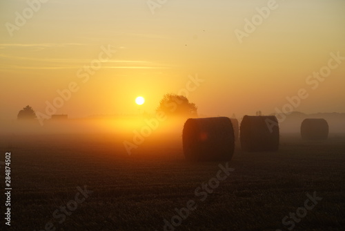 фотографія Paysage Campagne 572
