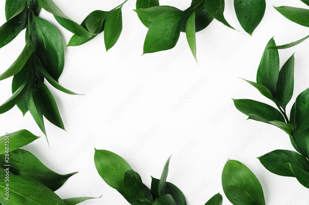 Green twigs top view frame with text space. Decorative plant branches, greenery border. Fresh leaves with dew drops on white background. Exotic foliage, tropical, rainforest plant backdrop