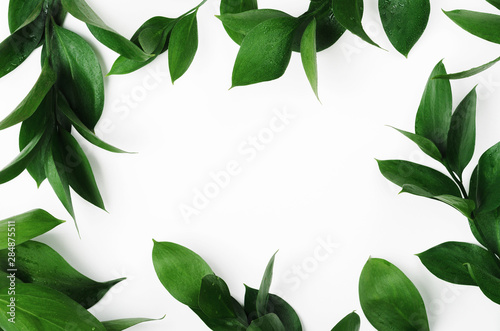 Green twigs top view frame with text space. Decorative plant branches, greenery border. Fresh leaves with dew drops on white background. Exotic foliage, tropical, rainforest plant backdrop photo