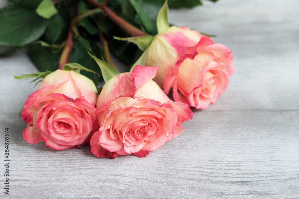 Obraz premium Pink roses on gray background. Floral frame, Mothers day roses, Bouquet of pink roses. Floral background image with copy space.