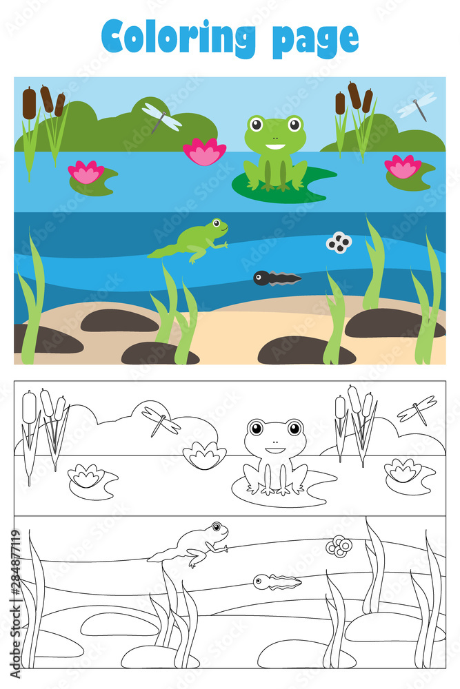 Pond with frog, cartoon style, coloring page, education paper game for the development of children, kids preschool activity, printable worksheet, vector illustration Pond with frog, cartoon style, coloring page, education paper game for the development of children, kids preschool activity, printable worksheet, vector illustration