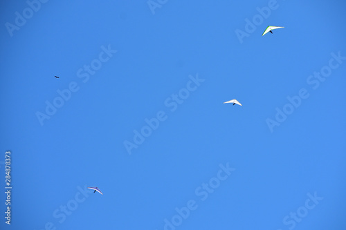 Two hang gliders in a blue sky © J Michael Curry