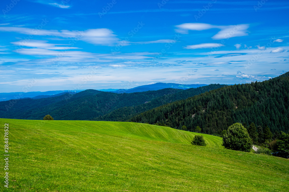 Germany, Endless view over authentic black forest mountain nature landscape covered by fir and conifer trees next to green meadow