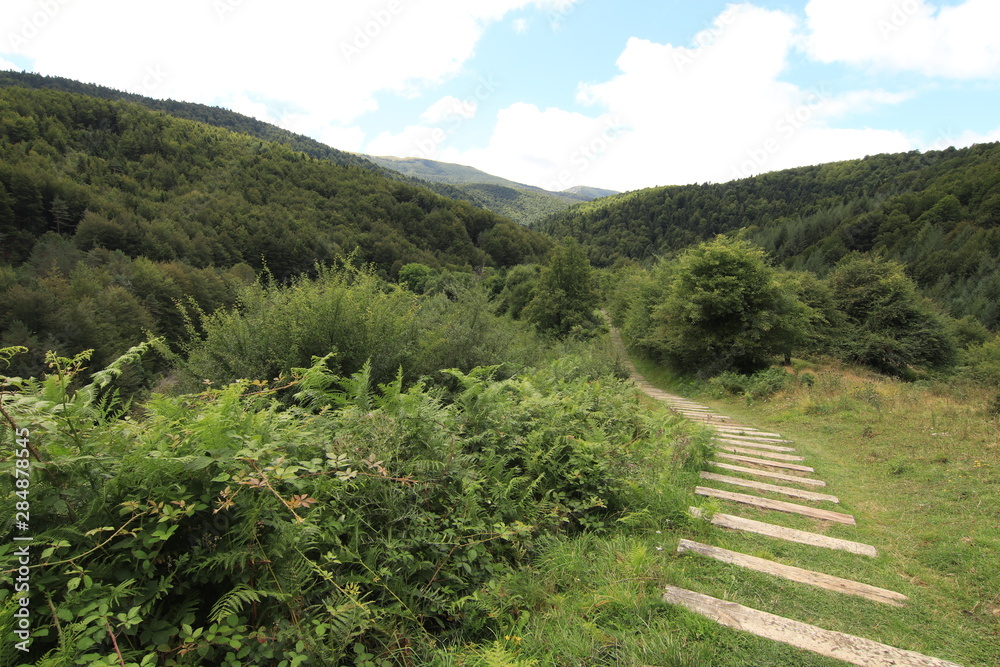 Obraz premium Selva Irati Pais Vasco