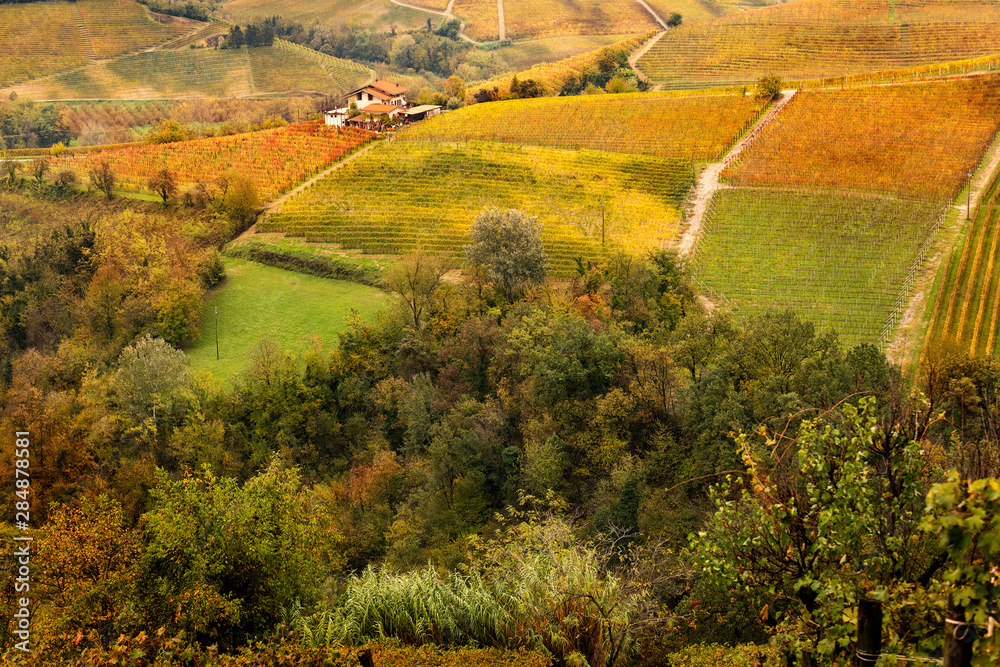 Piedmont countryside in autumn