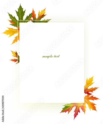 Maple leaves. Autumn background. Red. Yellow. Green. Vector illustration. Square frame.
