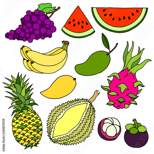 set of tropical fruits sweet delicious vector illustration design art hand drawing