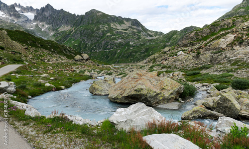 Fototapeta Naklejka Na Ścianę i Meble -  beautiful mountain meadow with beautiful and colorful flowers, glacial lake and mountains