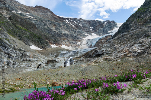 beautiful mountain meadow with beautiful and colorful flowers, glacial lake and mountains © ANDA
