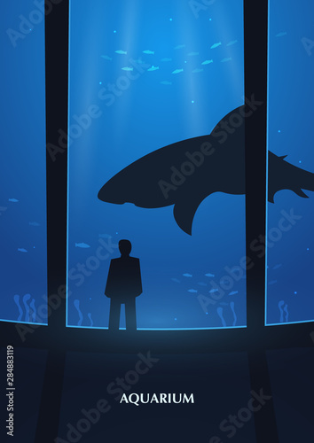 Big Aquarium, Oceanarium or Dolphinarium. People watching the underwater world.