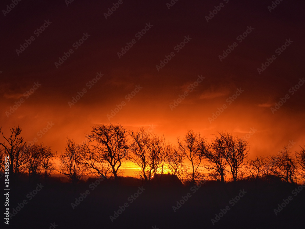 very beautiful view with sunrise and very colorful sky with black tree silhouettes in the foreground, Denmark very beautiful view with sunrise and very colorful sky with black tree silhouettes in the foreground, Denmark