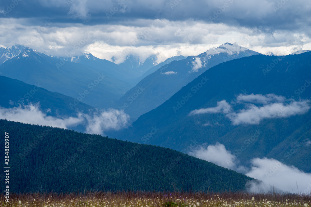 The Olympic Mountains as seen from Hurricane Ridge in Olympic National Park on an overcast day