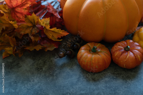 Thanksgiving background with pumpkins  flowers and scarecrow on a grey cement background.