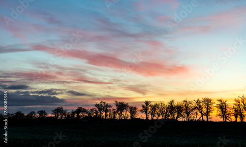 beautiful view with sunrise and very colorful sky with black tree silhouettes in the foreground © ANDA