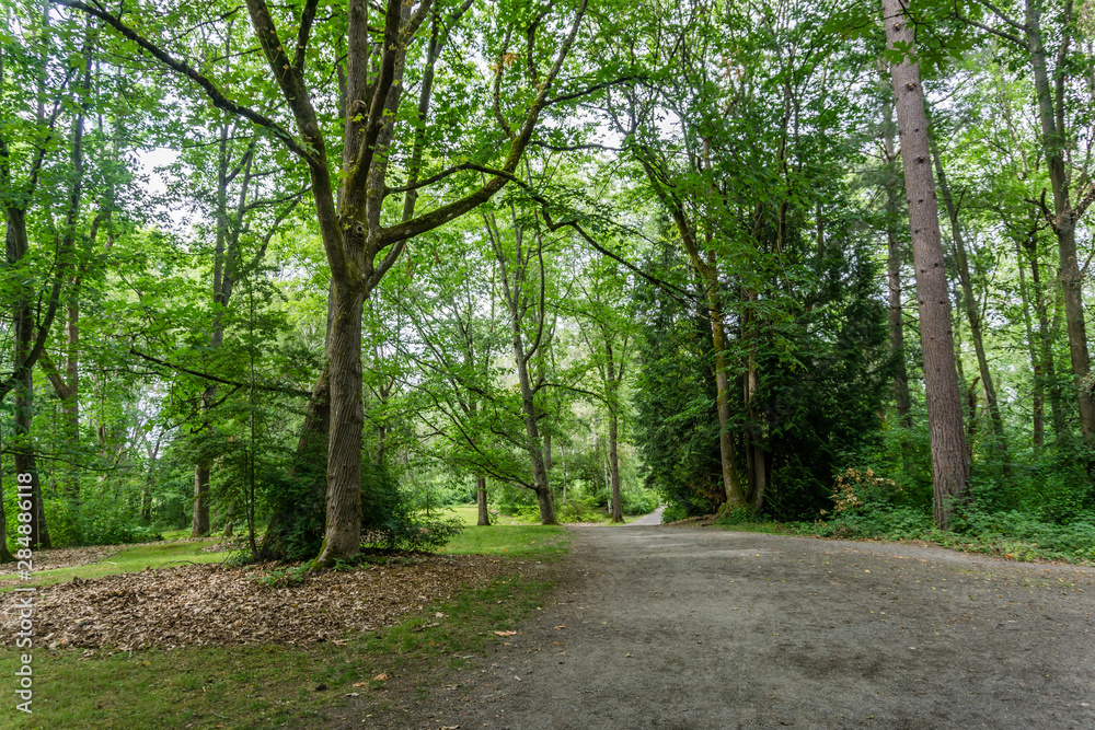 Arboretum Path And Trees