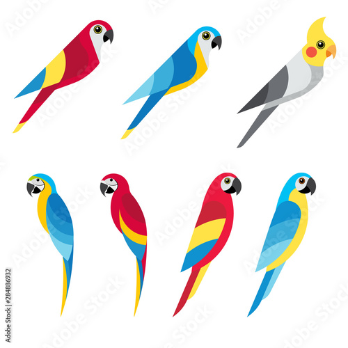 set flat parrot on white background