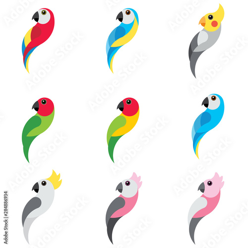 set flat parrot on white background